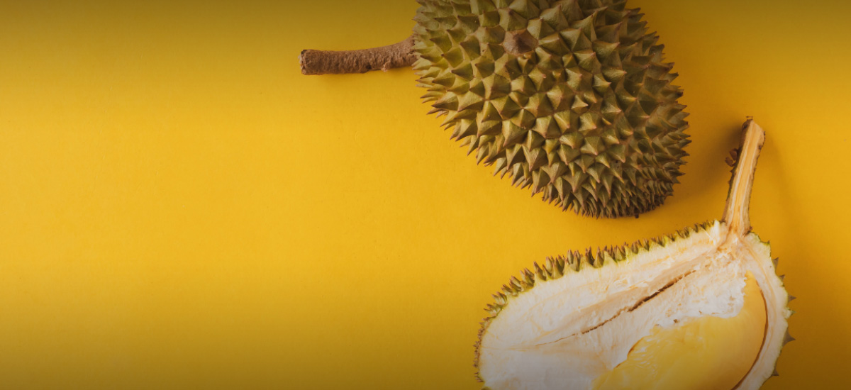 3 myths about the king of fruits a durian-lover must know