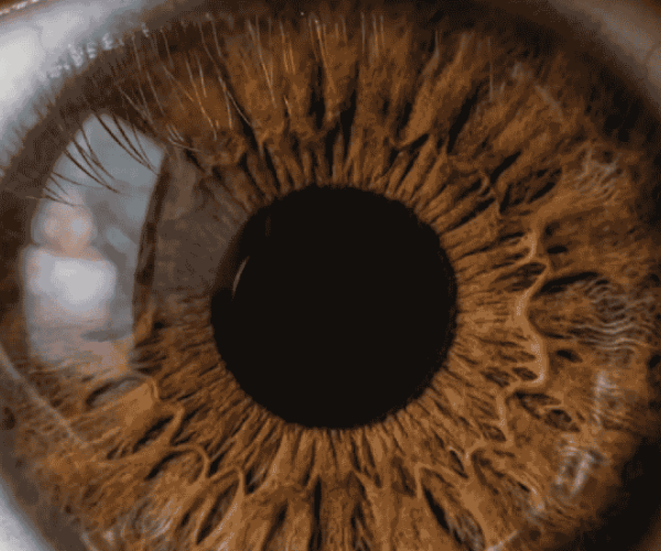 Transforming science into hope